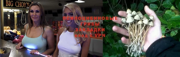 бошки Краснослободск