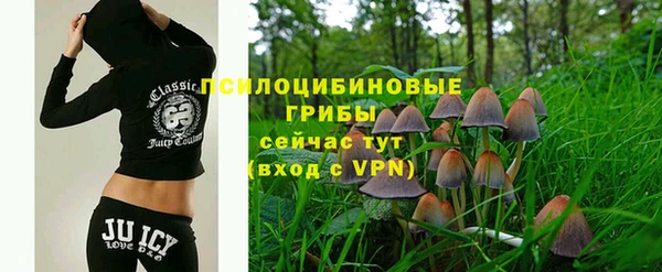 бошки Краснослободск